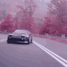 Gru P ID's Drift.rip BIO Avatar