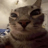 Drift.rip - Viewer Avatar