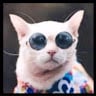 Drift.rip - Viewer Avatar