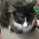 Drift.rip - Viewer Avatar
