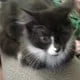Drift.rip - Viewer Avatar