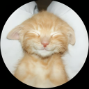 Drift.rip - Viewer Avatar