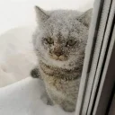 Drift.RIP User Avatar