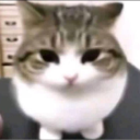Drift.rip - Viewer Avatar