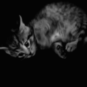 gloxun's Drift.rip BIO Avatar