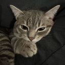 Drift.rip - Viewer Avatar