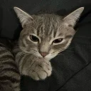 Drift.rip - Viewer Avatar