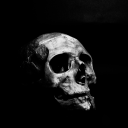 Drift.rip - Viewer Avatar