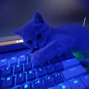 Drift.rip - Viewer Avatar