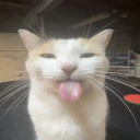 Drift.rip - Viewer Avatar