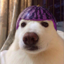 Drift.rip - Viewer Avatar