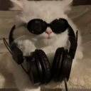 Drift.rip - Viewer Avatar