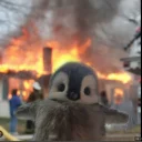 penguinx01's Drift.rip BIO Avatar