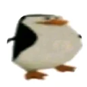 notrandom___58838's Drift.rip BIO Avatar