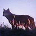 Avatar of indecentacts, DRIFT RIP BIO.