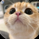 Drift.rip - Viewer Avatar
