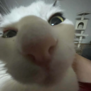 zhuisud_9's Drift.rip BIO Avatar