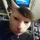yjodf1tn's Drift.rip BIO Avatar