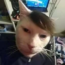 yjodf1tn's Drift.rip BIO Avatar