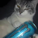 Drift.rip - Viewer Avatar