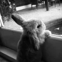 Drift.rip - Viewer Avatar