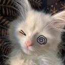Drift.rip - Viewer Avatar