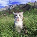 Drift.rip - Viewer Avatar