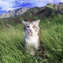 Drift.rip - Viewer Avatar