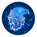 Drift.rip - Viewer Avatar