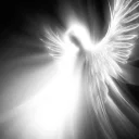 .ayoub.0's Drift.rip BIO Avatar