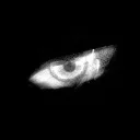Drift.rip - Viewer Avatar