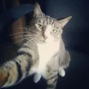 Drift.rip - Viewer Avatar