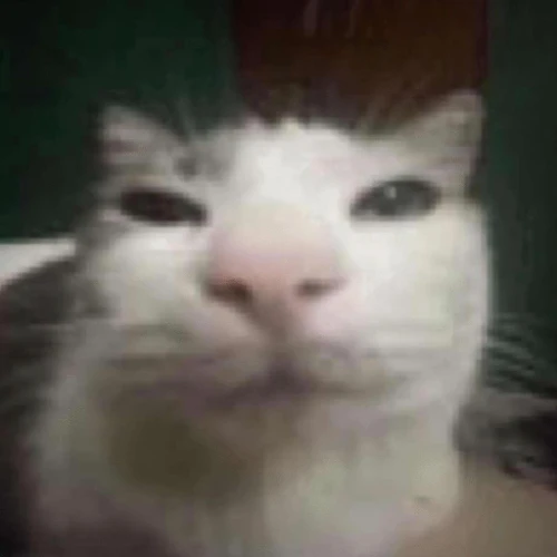 Drift.RIP User Avatar