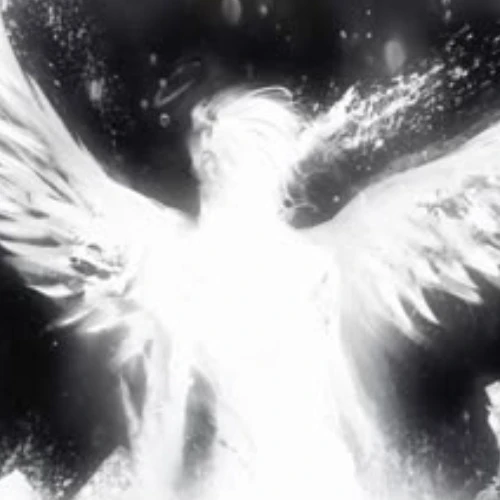 Drift.RIP User Avatar
