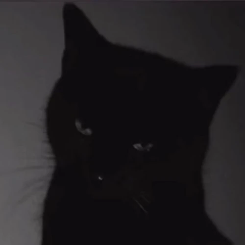 Drift.RIP User Avatar