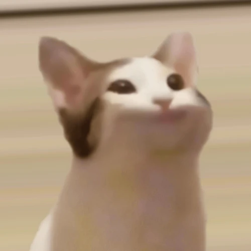 Drift.RIP User Avatar