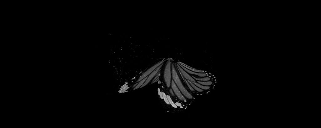 Drift.RIP User Avatar