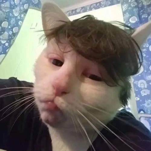 Drift.RIP User Avatar
