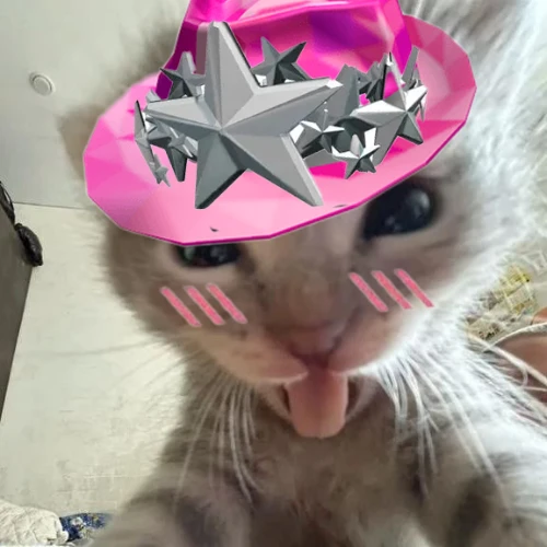 Drift.RIP User Avatar
