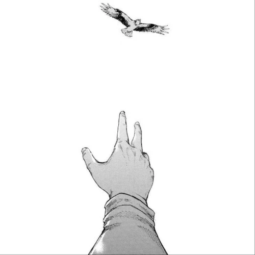 Drift.RIP User Avatar