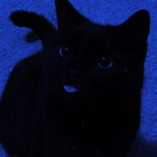 Drift.RIP User Avatar