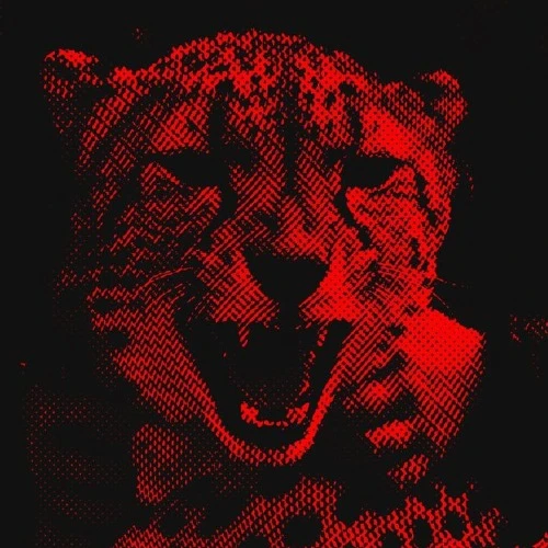 Drift.RIP User Avatar