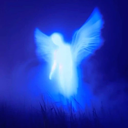 Drift.RIP User Avatar