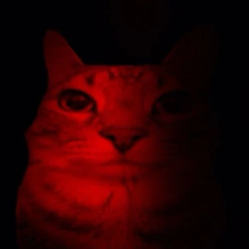Drift.RIP User Avatar
