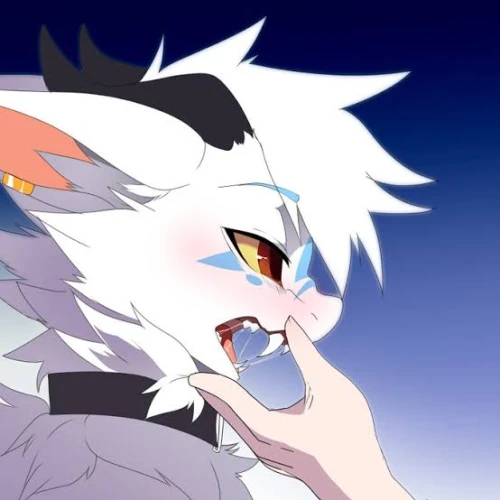 Drift.RIP User Avatar