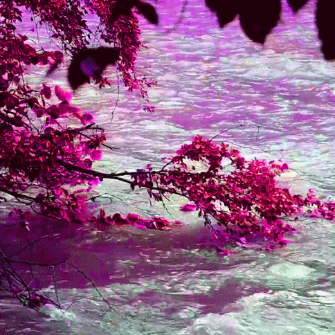 Drift.RIP User Avatar