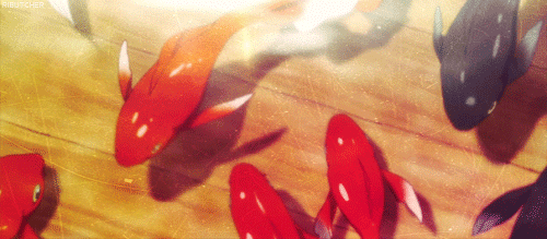 Profile Background