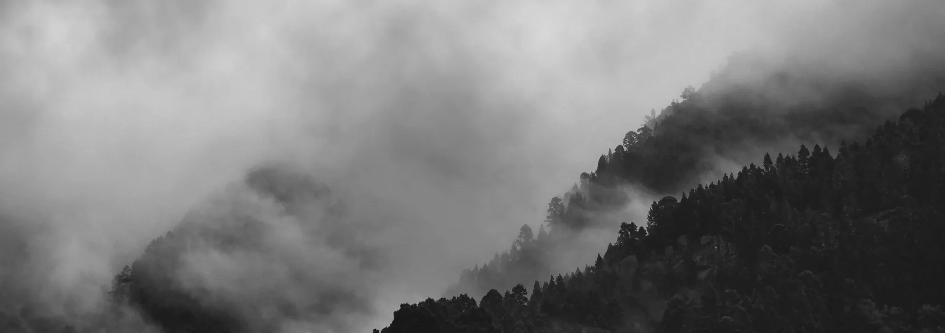 Profile Background