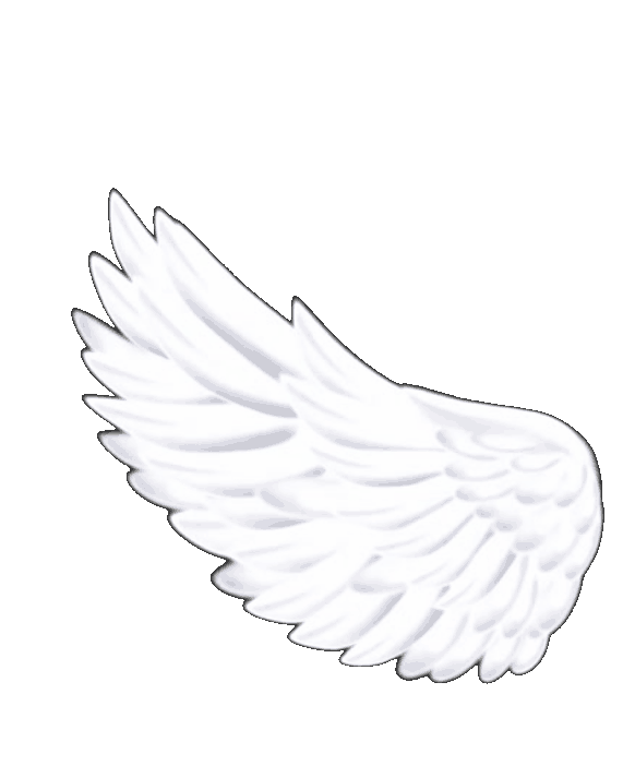 Drift.rip connection Icon