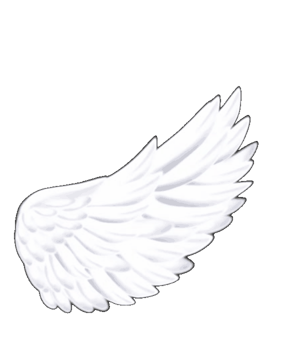 Drift.rip connection Icon